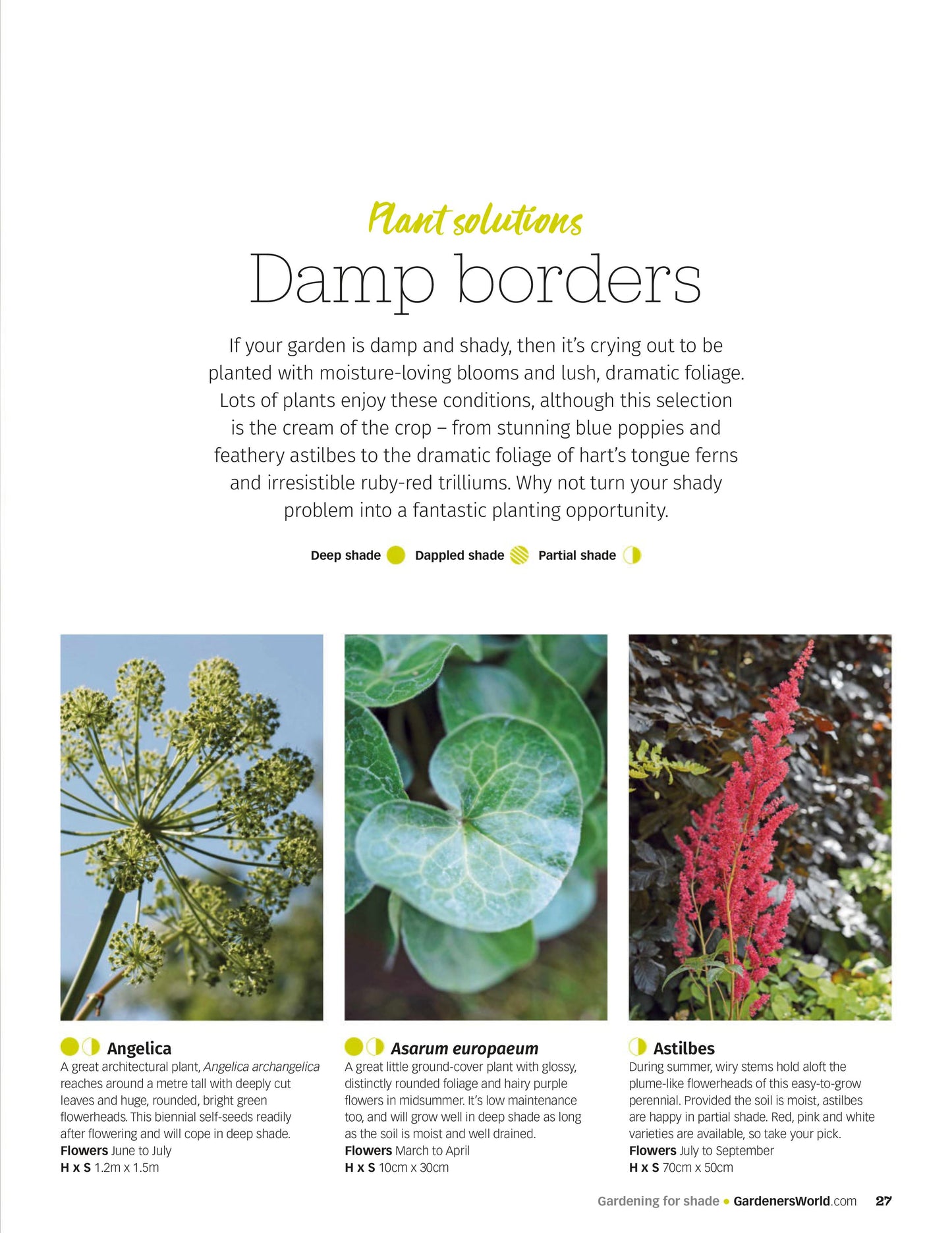 BBC Gardeners’ World Magazine – Guide Gardening for Shade, 2025 Magazine Digital