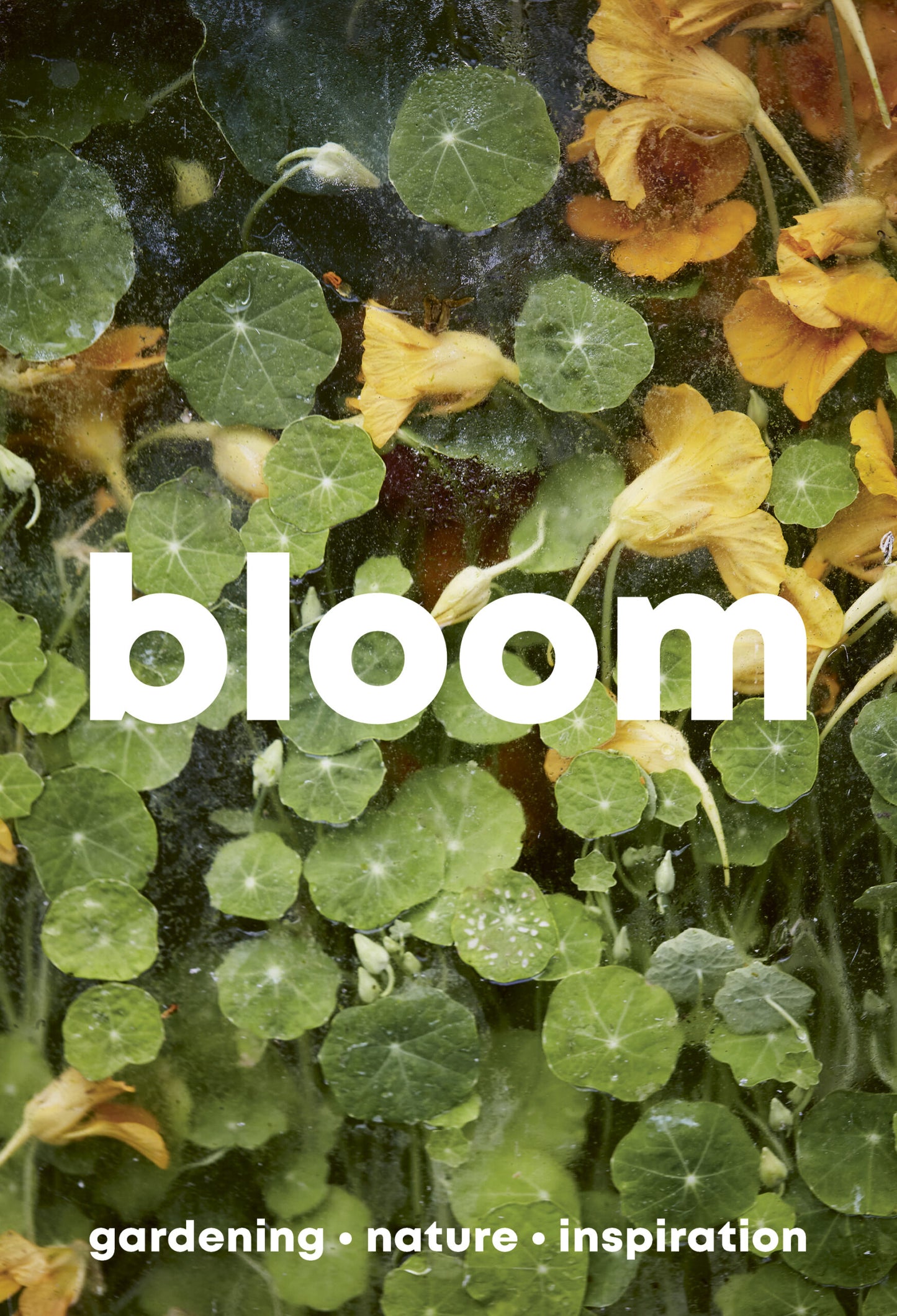 Bloom