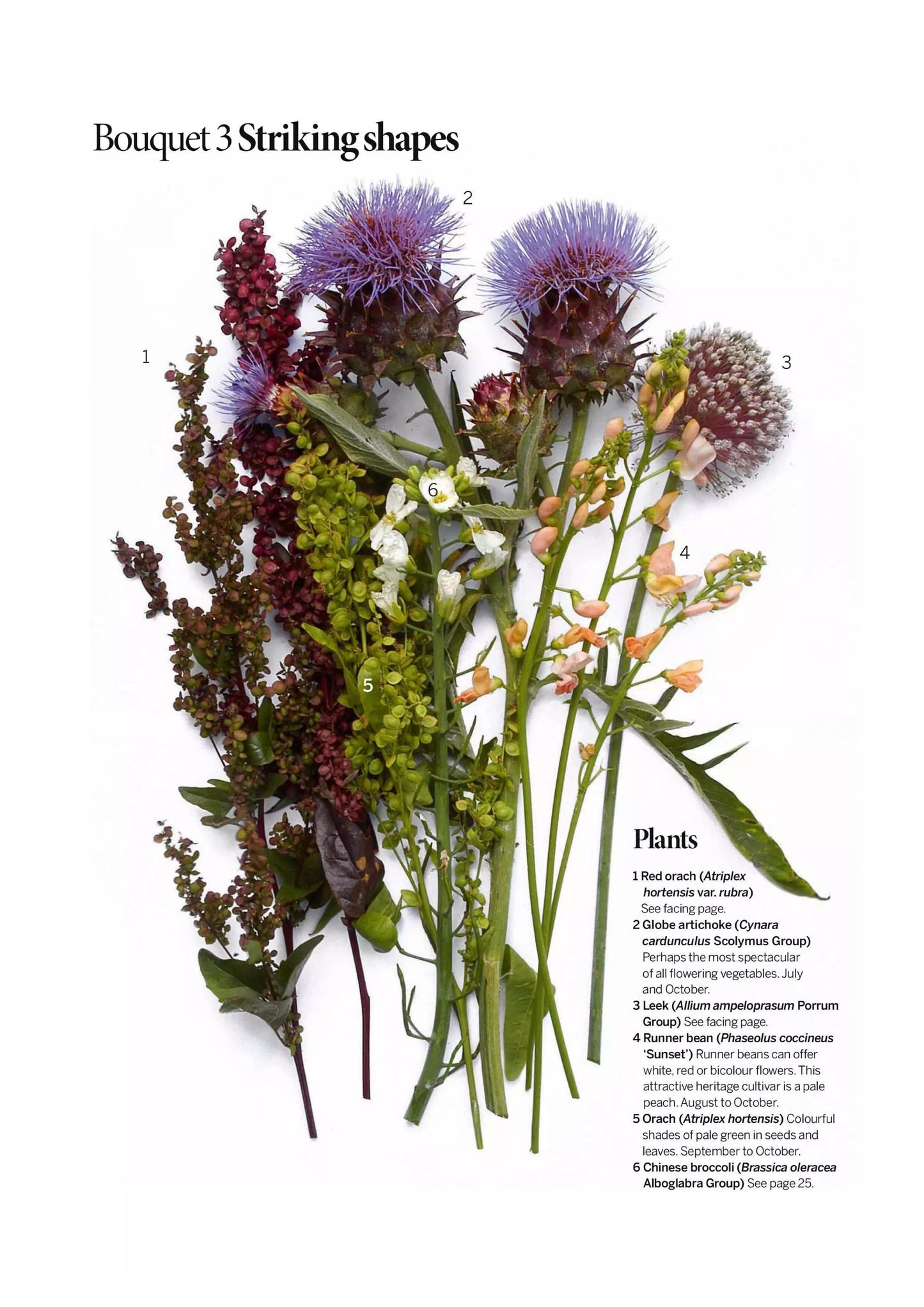 Gardens Illustrated Specials – A year In Edible Garden, 2025 Magazine Digital