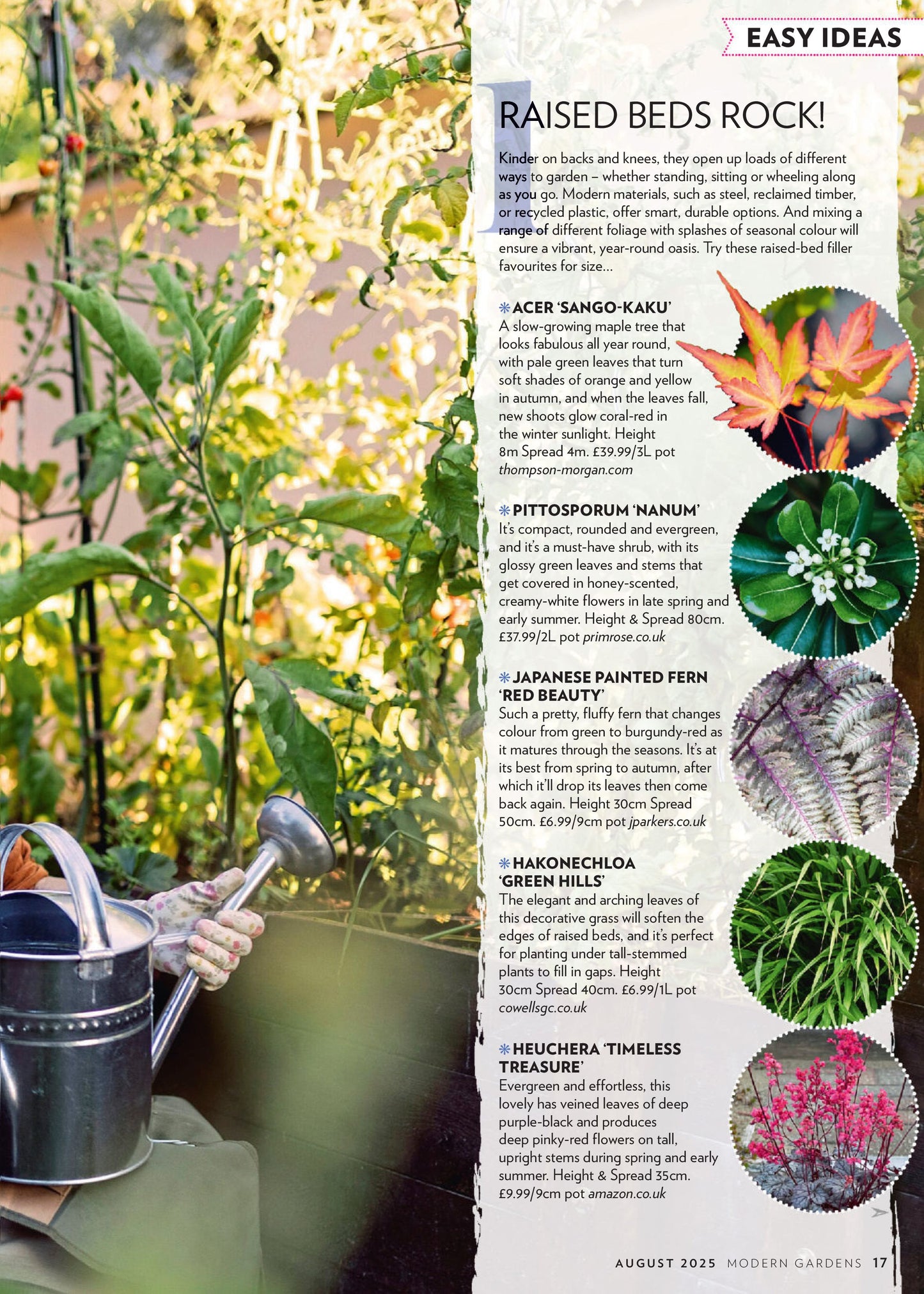 Modern Gardens Magazine – August 2025 Magazine Digital