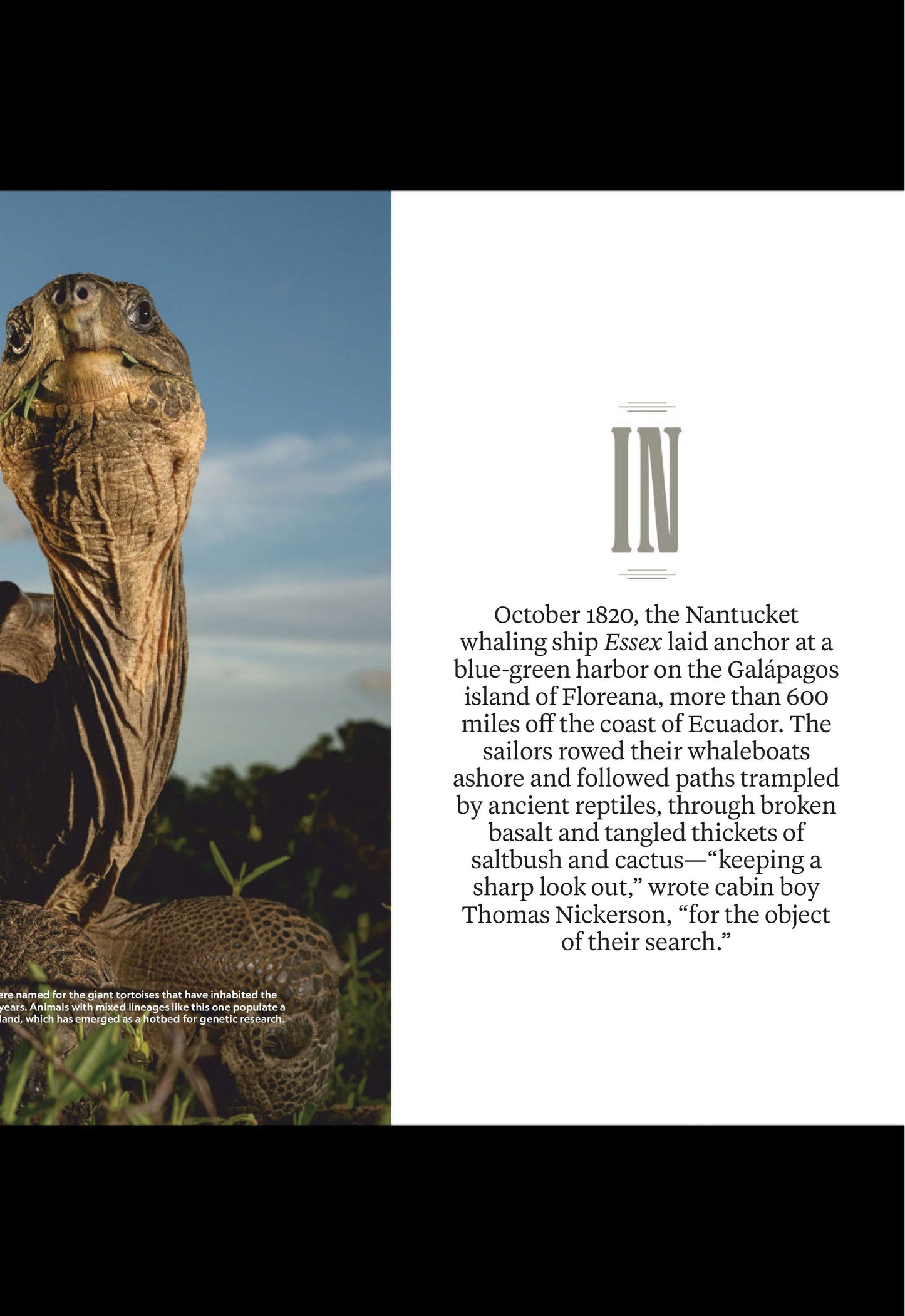 National Geographic UK – September 2025 Magazine Digital