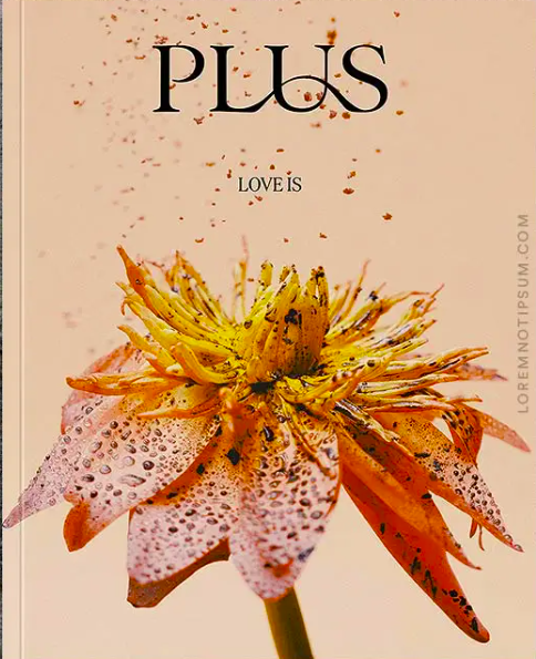 Plus Magazine