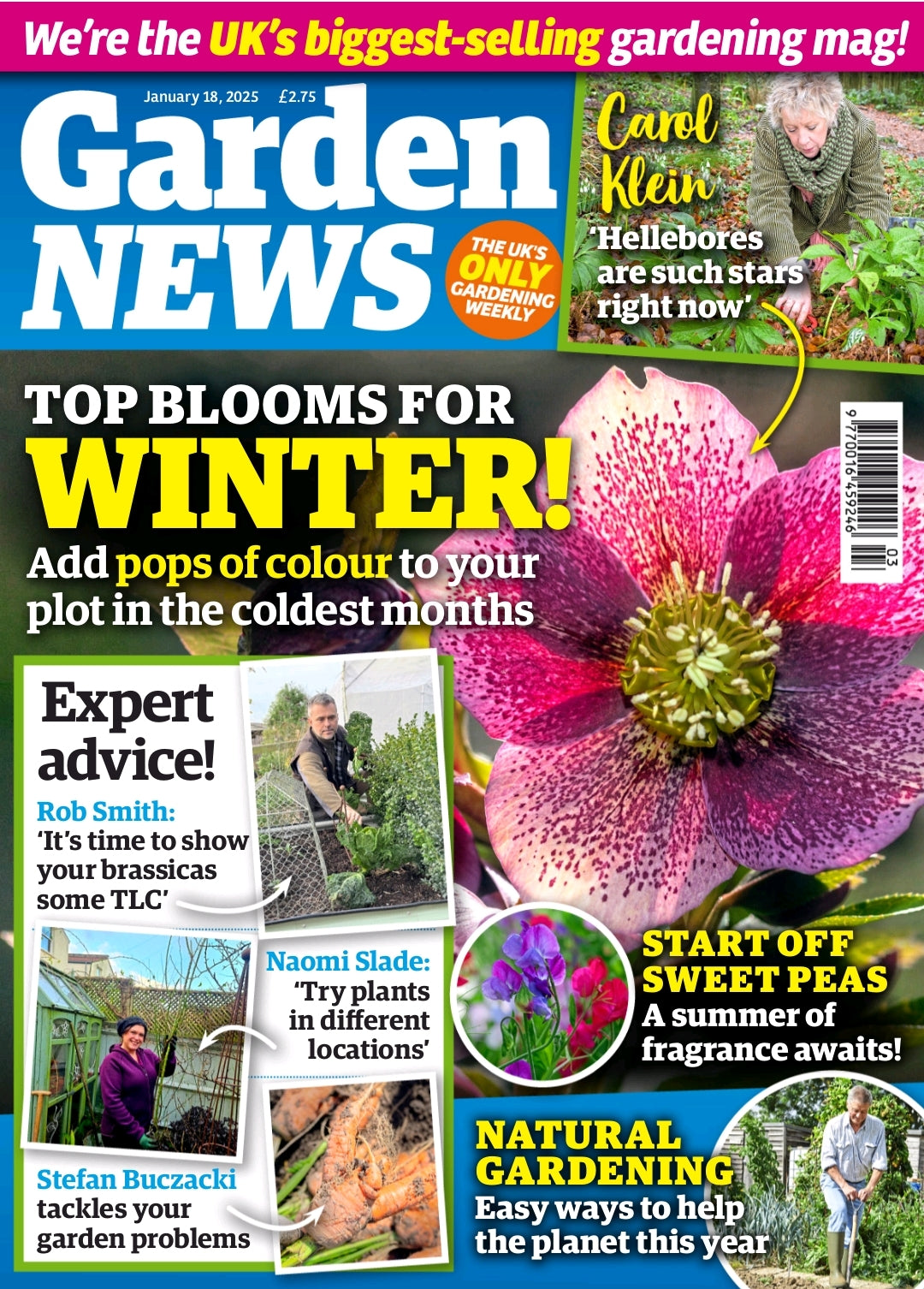 Garden News Magazine
