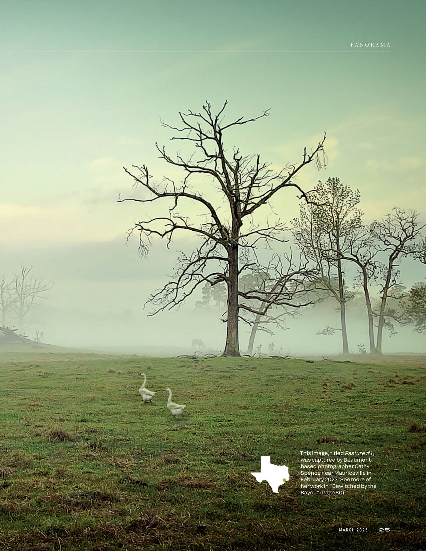 Texas Highways Magazine – March 2025 Digital