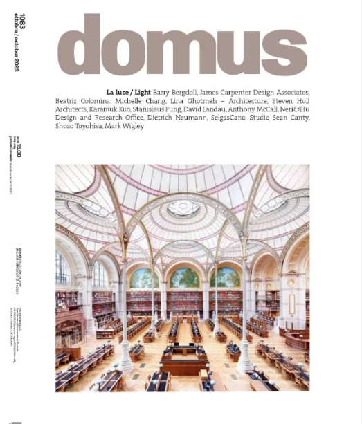Domus Magazine