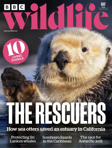 BBC Wildlife May 2025 Magazine