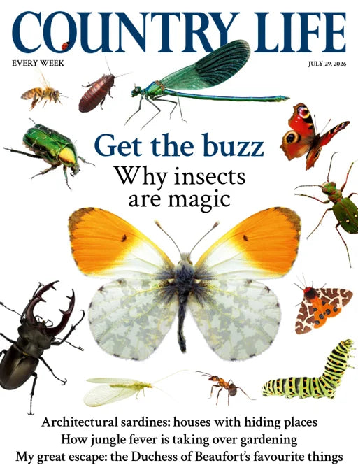 Country Life Magazine - July 29, 2026
