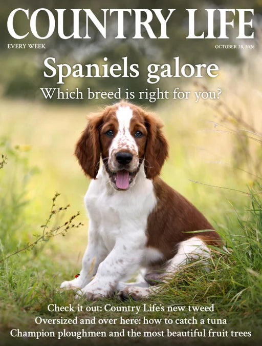 Country Life - October 28 2026