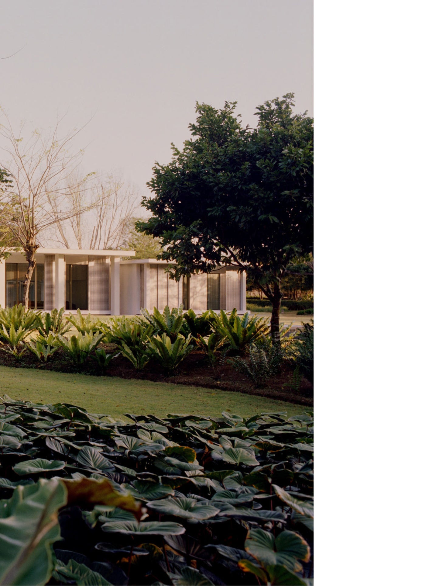 est living magazine – Issue 55, 2025 Digital