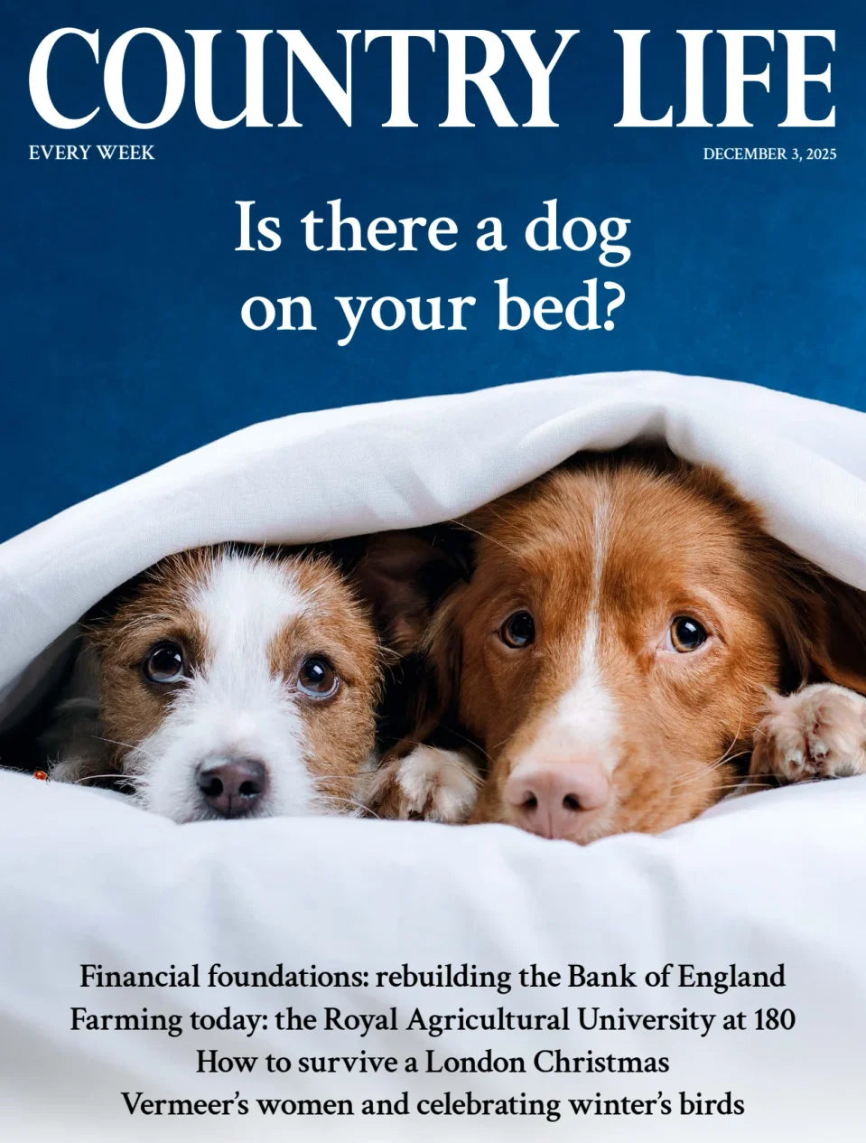 Country Life - 03 December 2025 Magazine