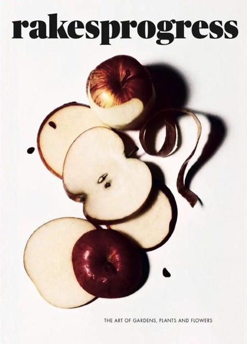 Magazine, London, England, Uk, United Kingdom, Magazine shop, Magazine store, London Magazine shop, London magazine store, Subscription Rakes Progress Magazine