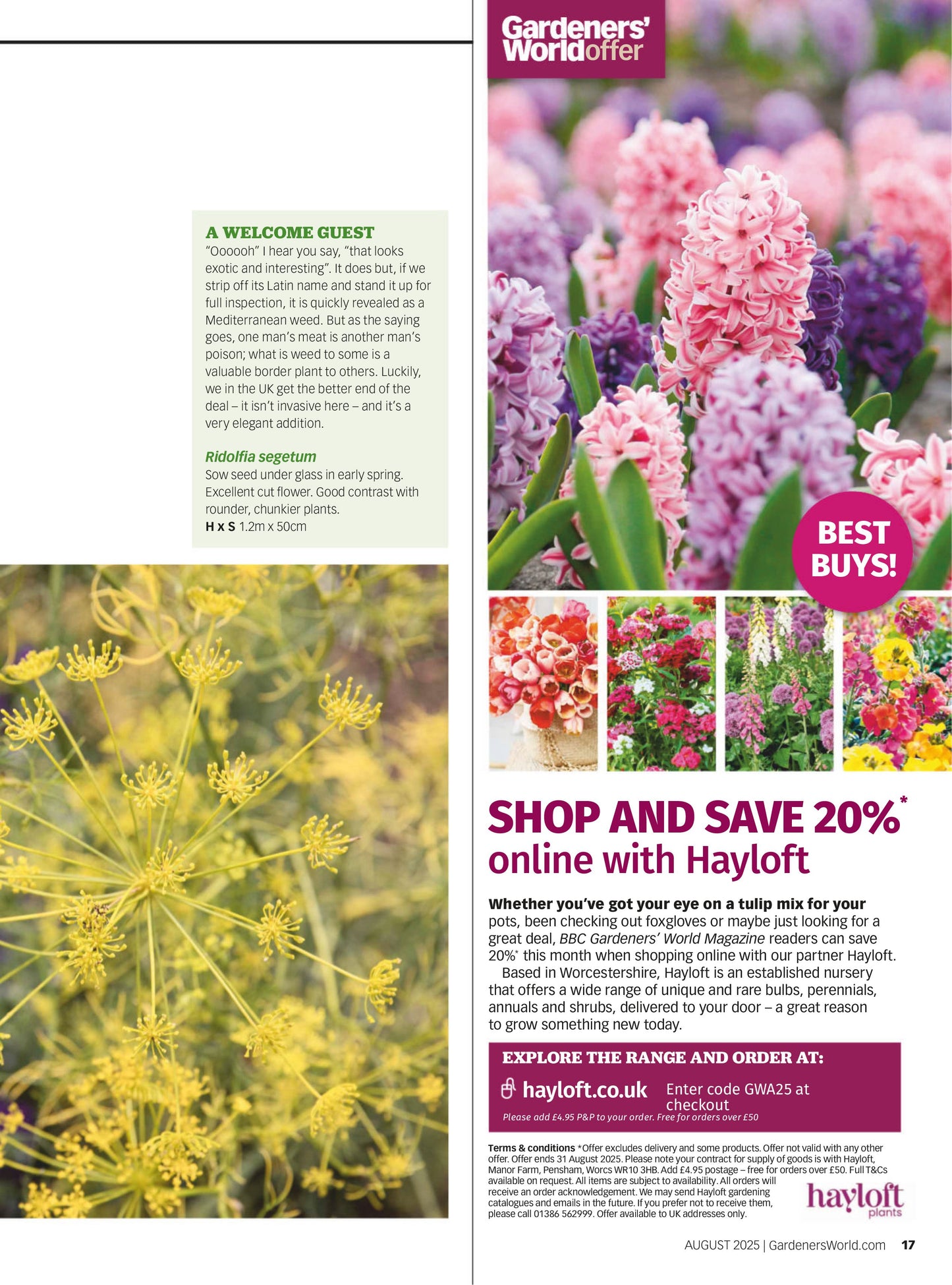 BBC Gardeners’ World – August 2025 Magazine Digital