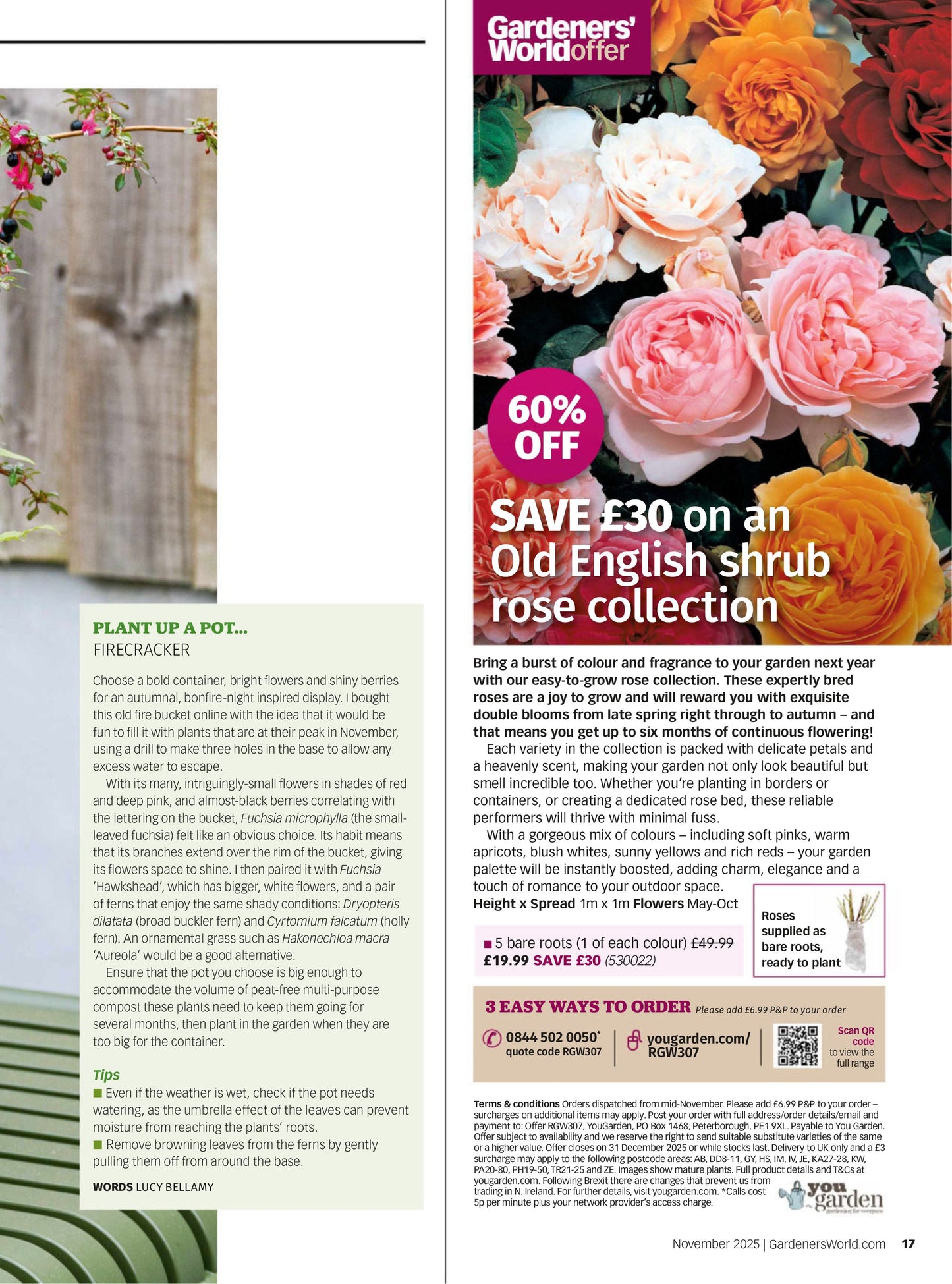 BBC Gardeners’ World – November 2025 Magazine Digital