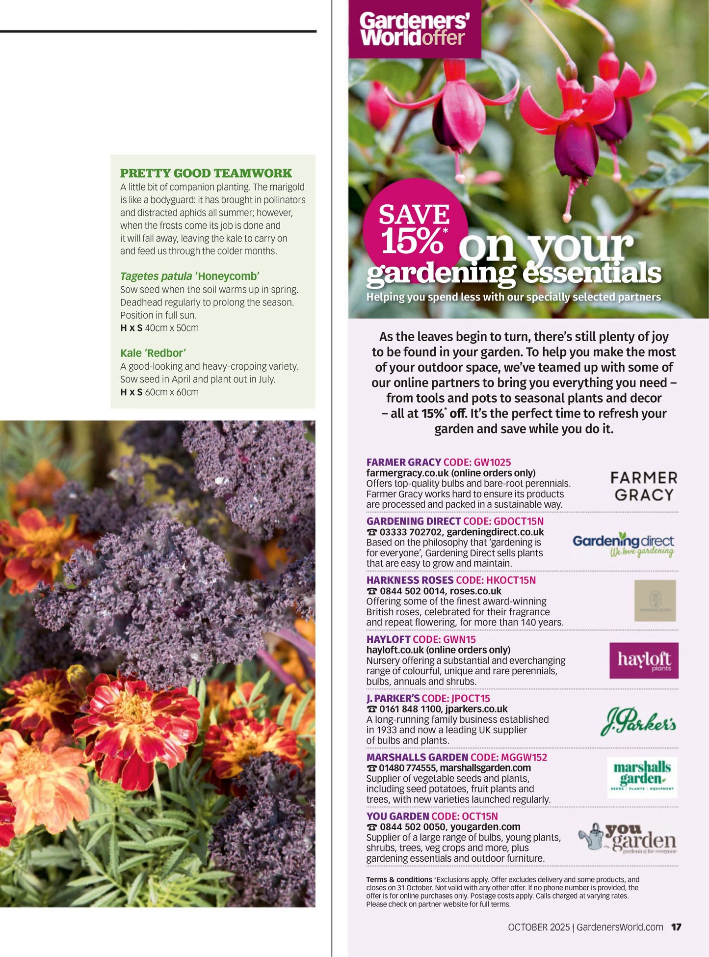 BBC Gardeners’ World – October 2025 Magazine Digital