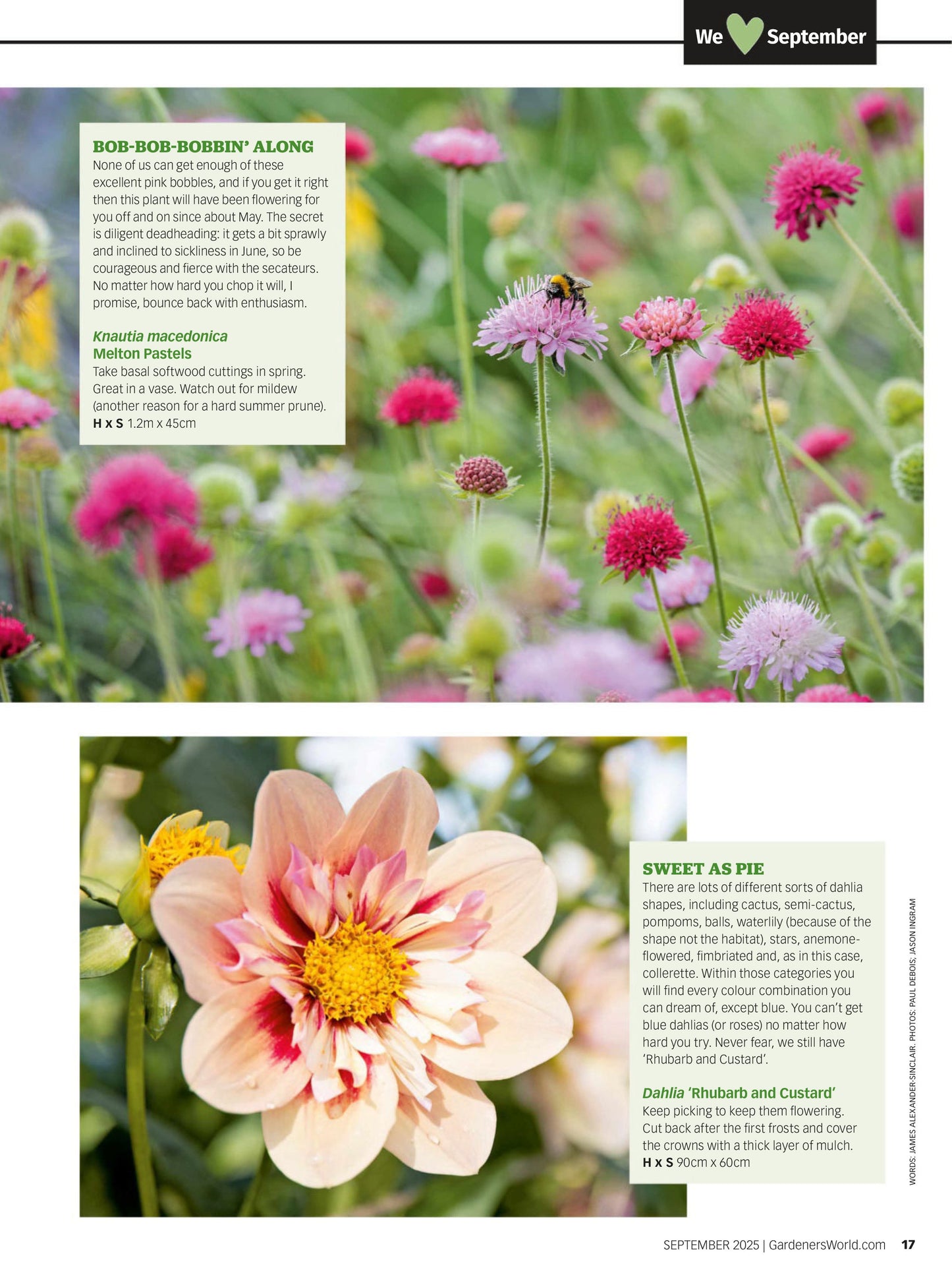 BBC Gardeners’ World – September 2025 Magazine Digital