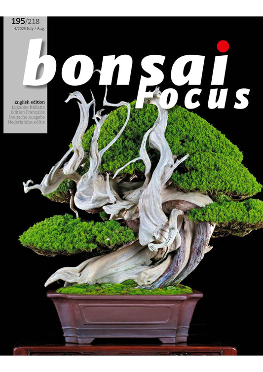 Bonsai Focus – July/August 2025 Magazine Digital
