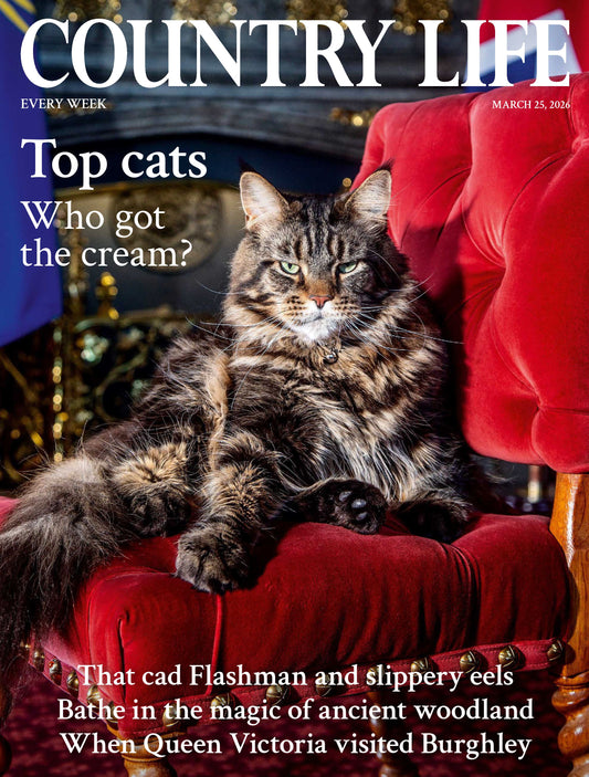 Country Life UK – March 25, 2026 Magazine Digital