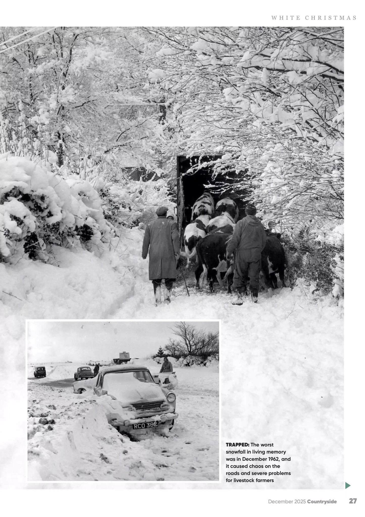 Countryside – December 2025 Magazine Digital