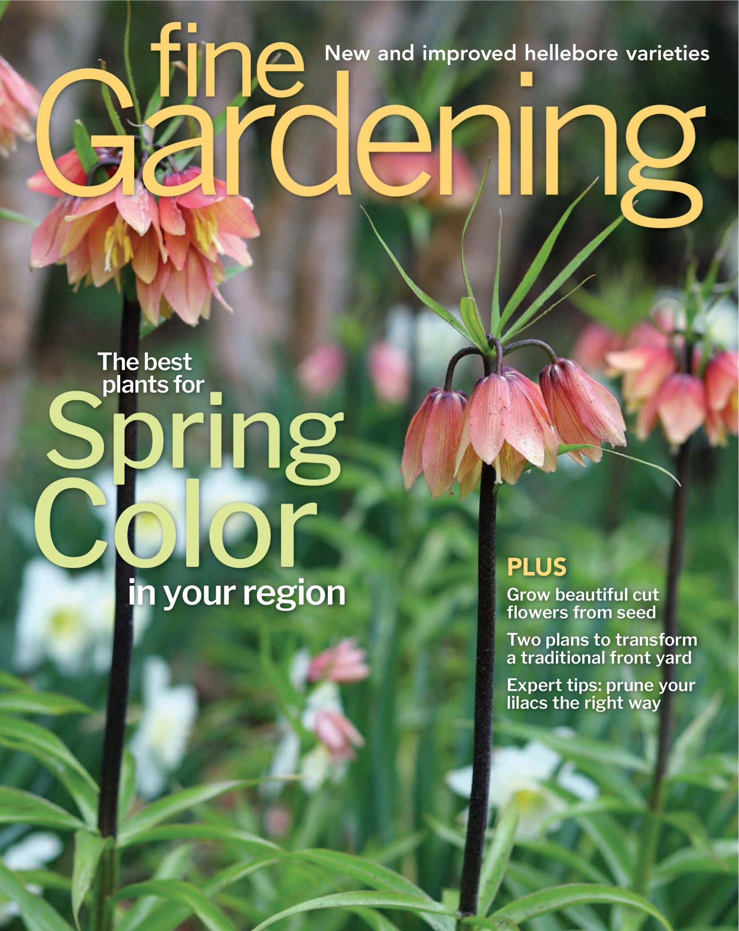 Fine Gardening – Early Spring 2025 Digital