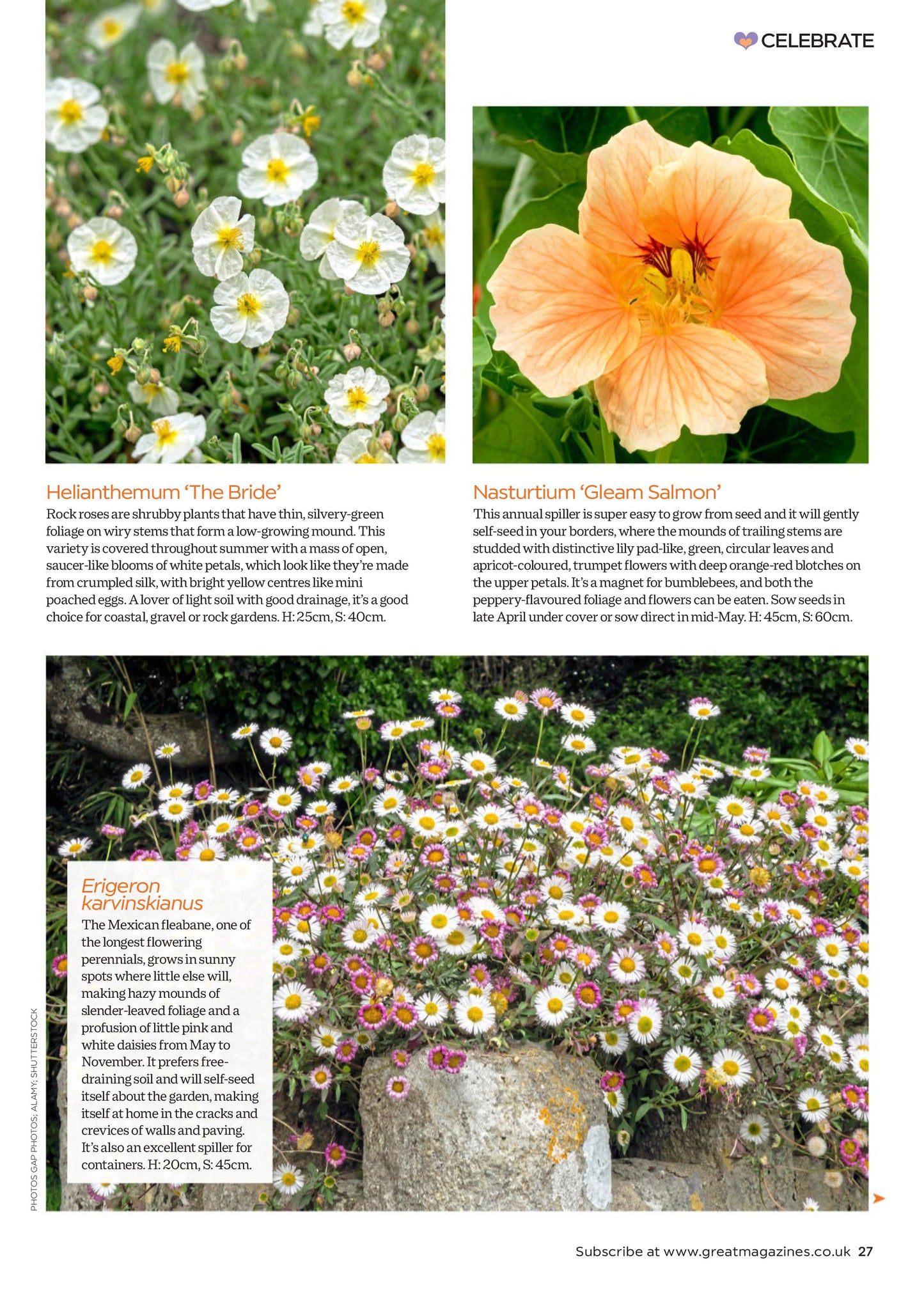 Garden Answers – August 2025 Magazine Digital