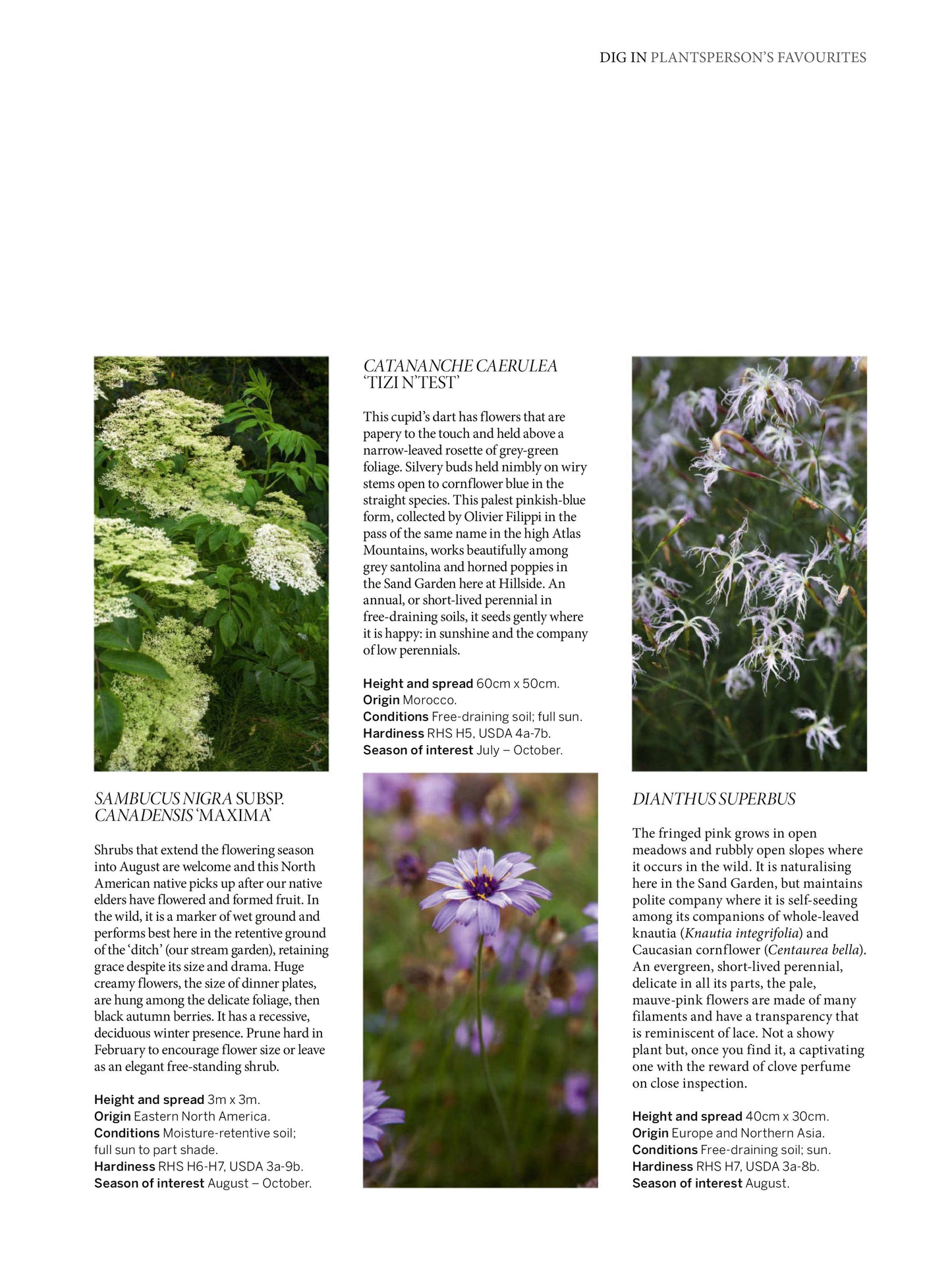 Gardens Illustrated Magazine – August 2025 Magazine Digital