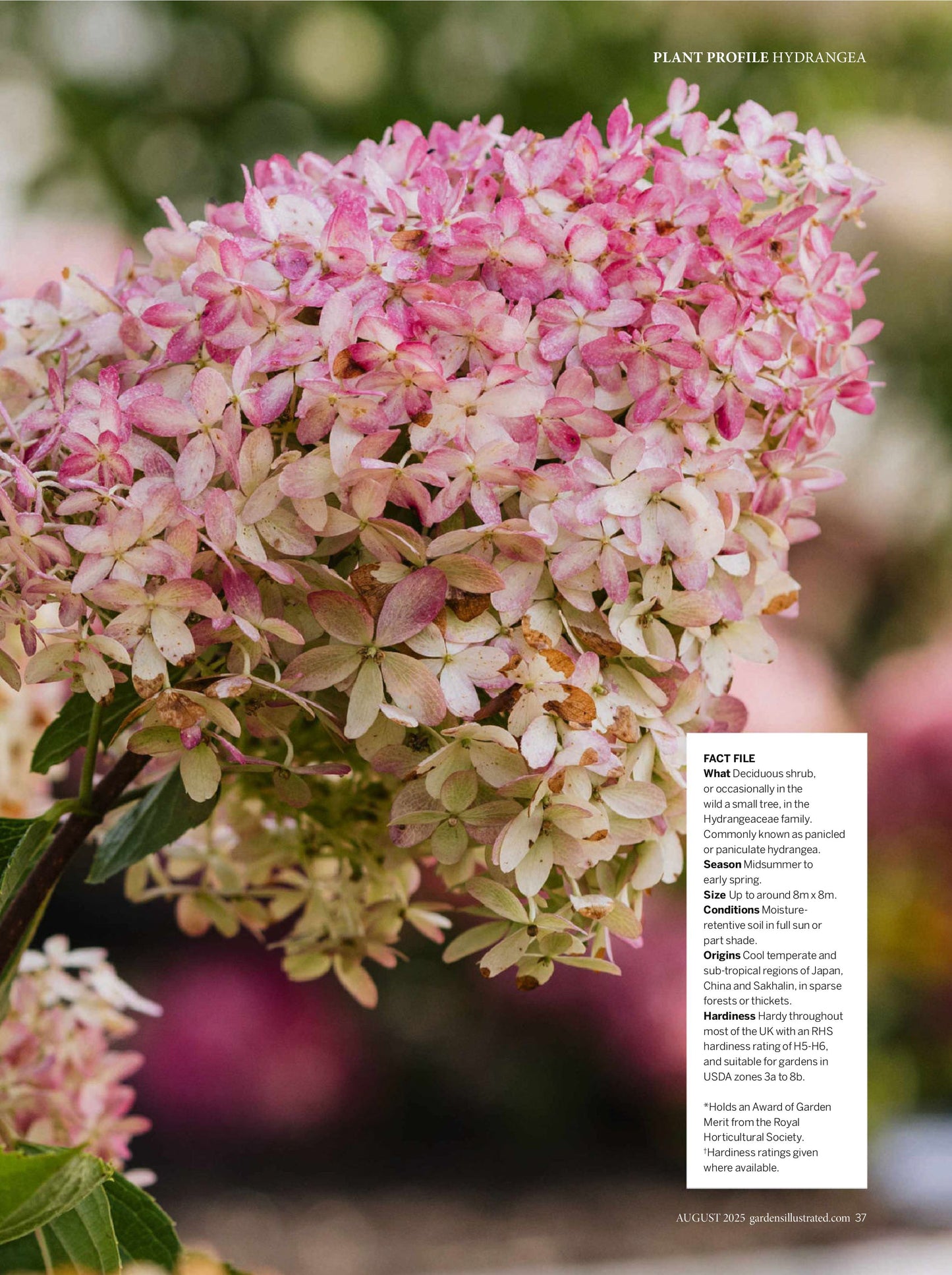 Gardens Illustrated Magazine – August 2025 Magazine Digital