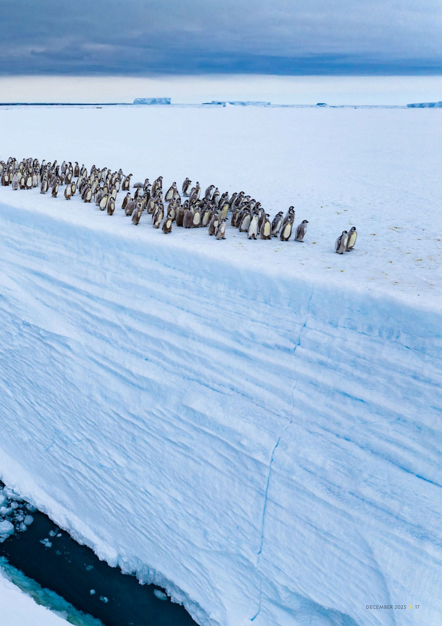 National Geographic Traveller UK – December 2025 Magazine Digital