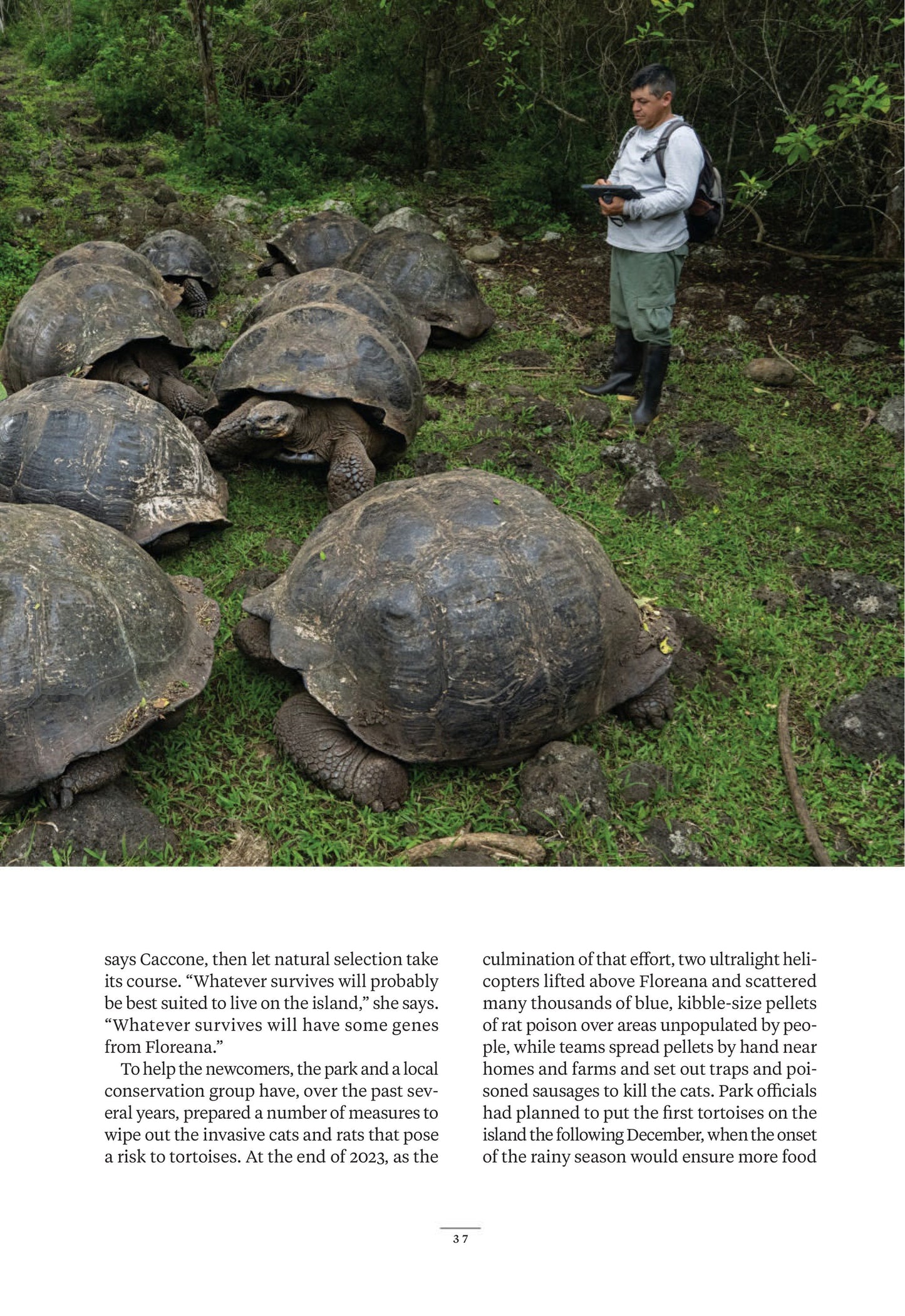 National Geographic UK – September 2025 Magazine Digital
