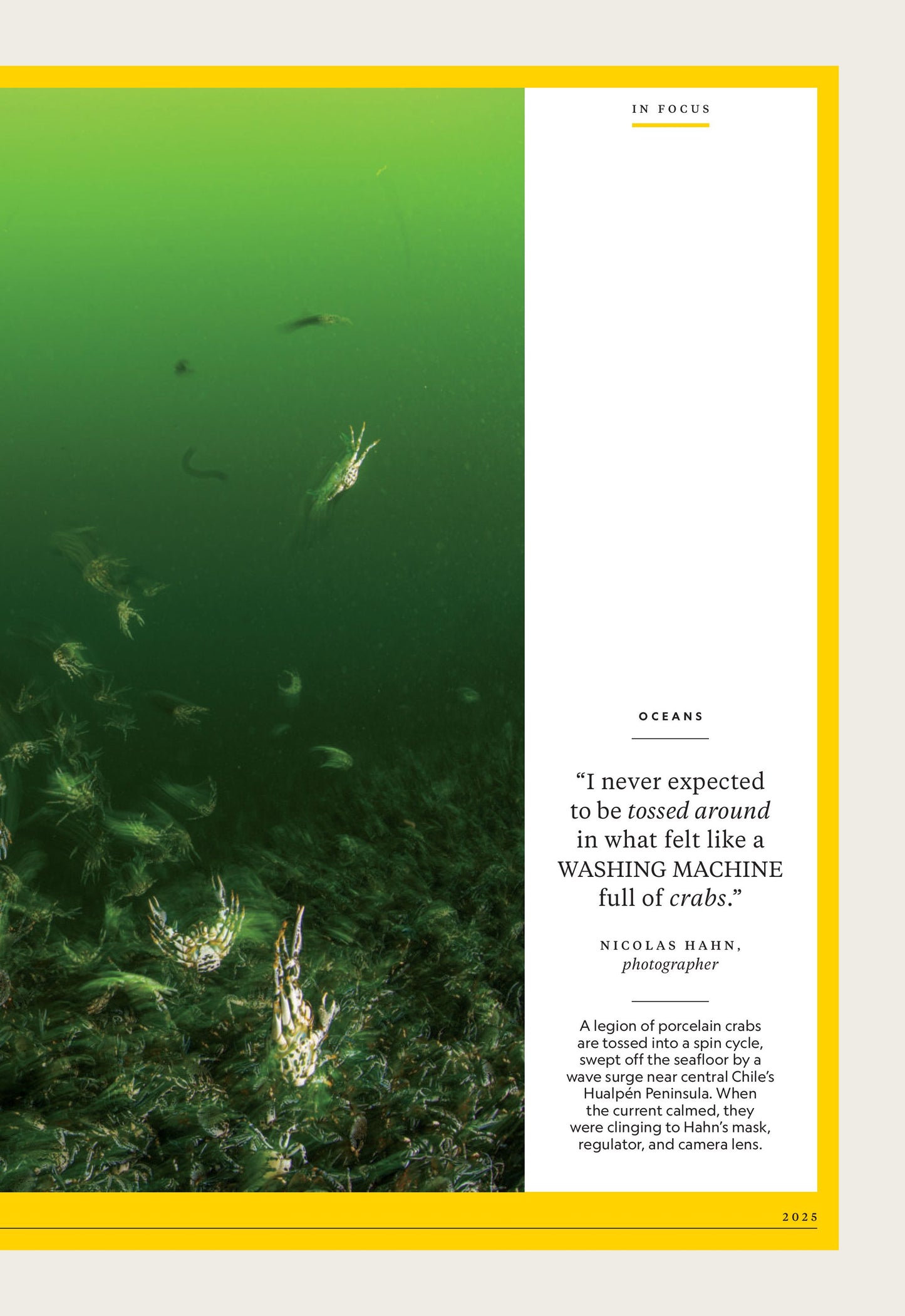 National Geographic USA – October 2025 Magazine Digital