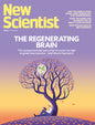 New Scientist - 31 October 2026