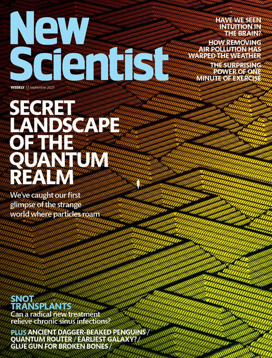 New Scientist 13 September 2025 Magazine
