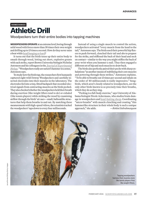 Scientific American – February 2026 Magazine Digital
