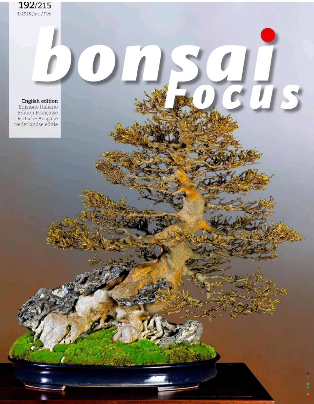 Bonsai Focus (Digital)