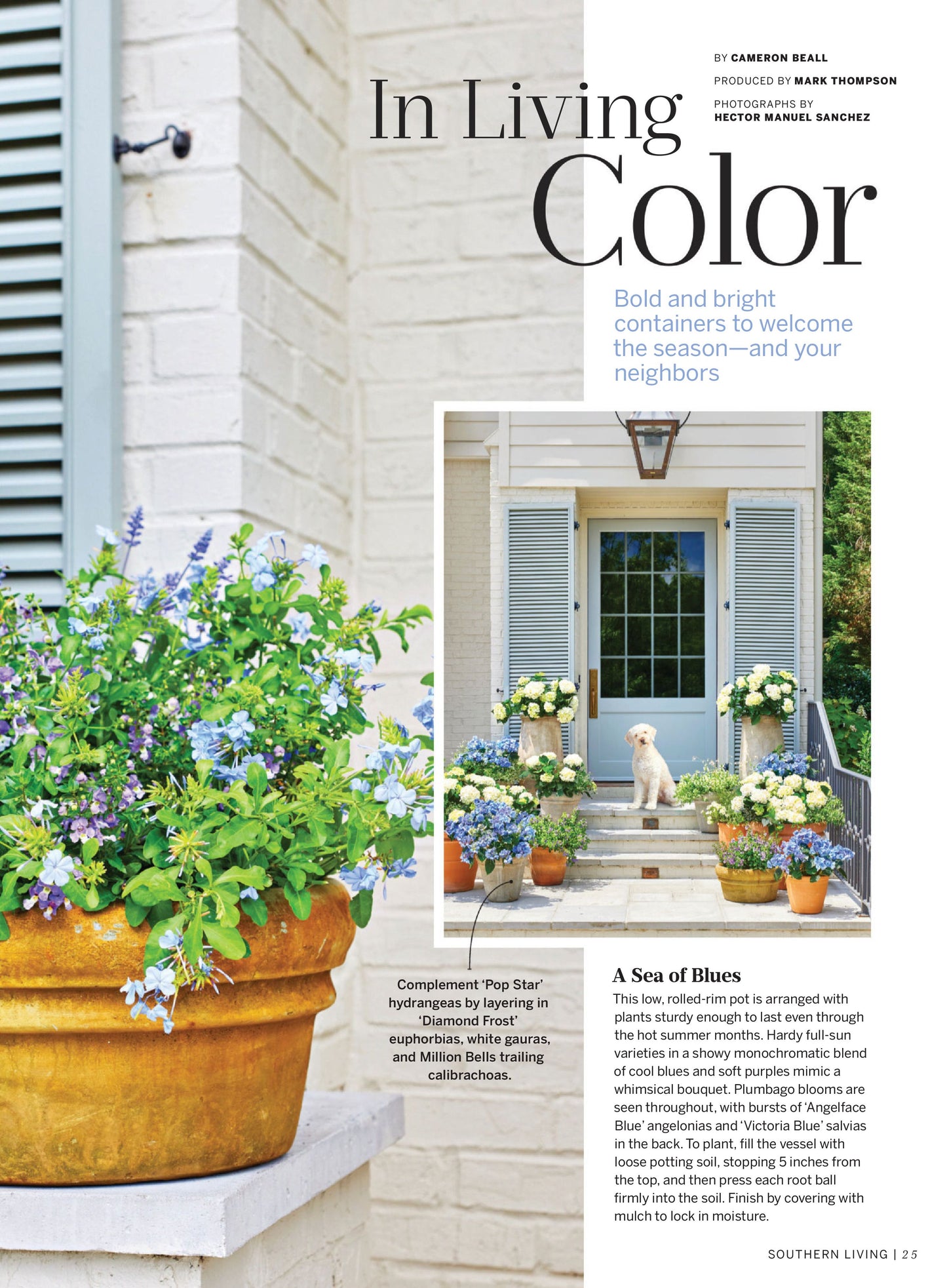 Southern Living – Container Gardening 2025 Digital