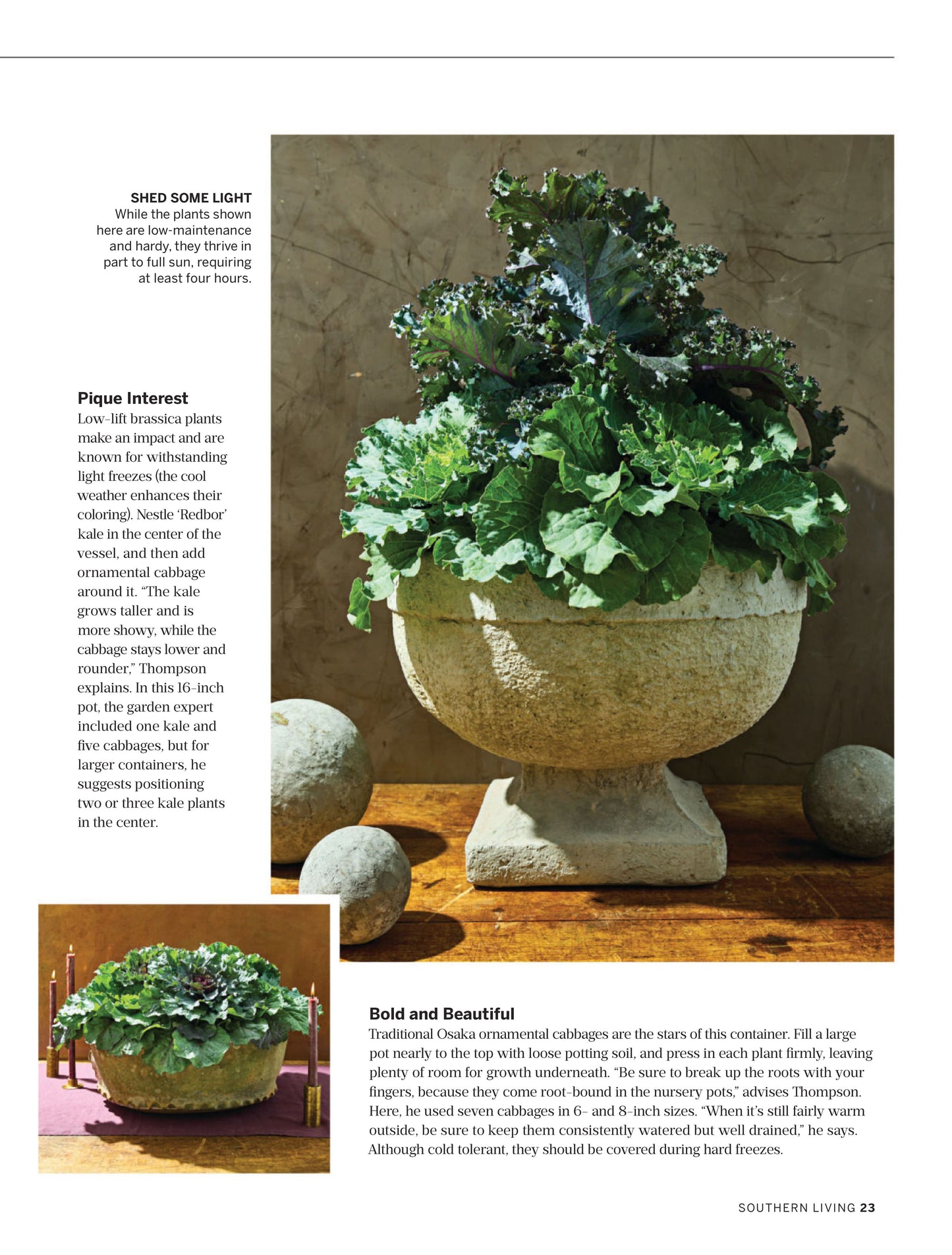 Southern Living – September 2025 Magazine Digital