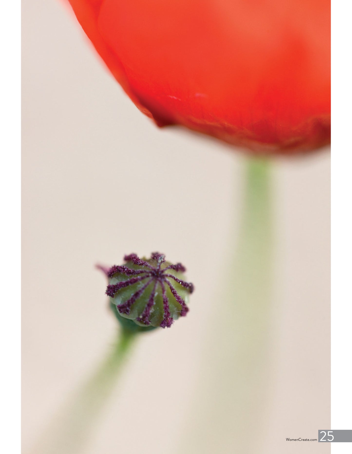 What Women Create – Fall 2025 Magazine Digital