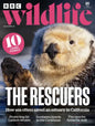 BBC Wildlife May 2025 Magazine