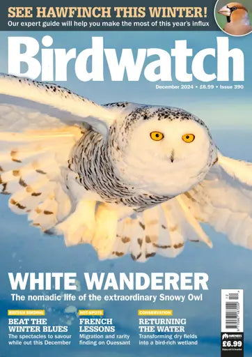 Birdwatch Magazine