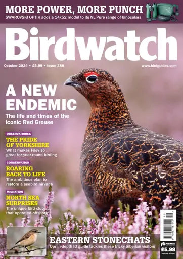 Birdwatch Magazine