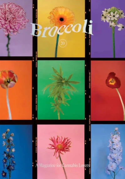 Broccoli Magazine