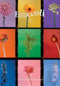 Broccoli Magazine