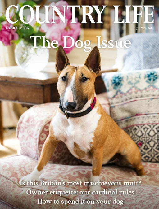 Country Life Magazine – 22 July 2026 Issue