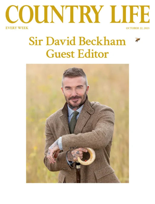 Country Life 22 October 2025 Magazine