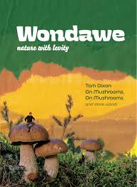 Wondawe Magazine
