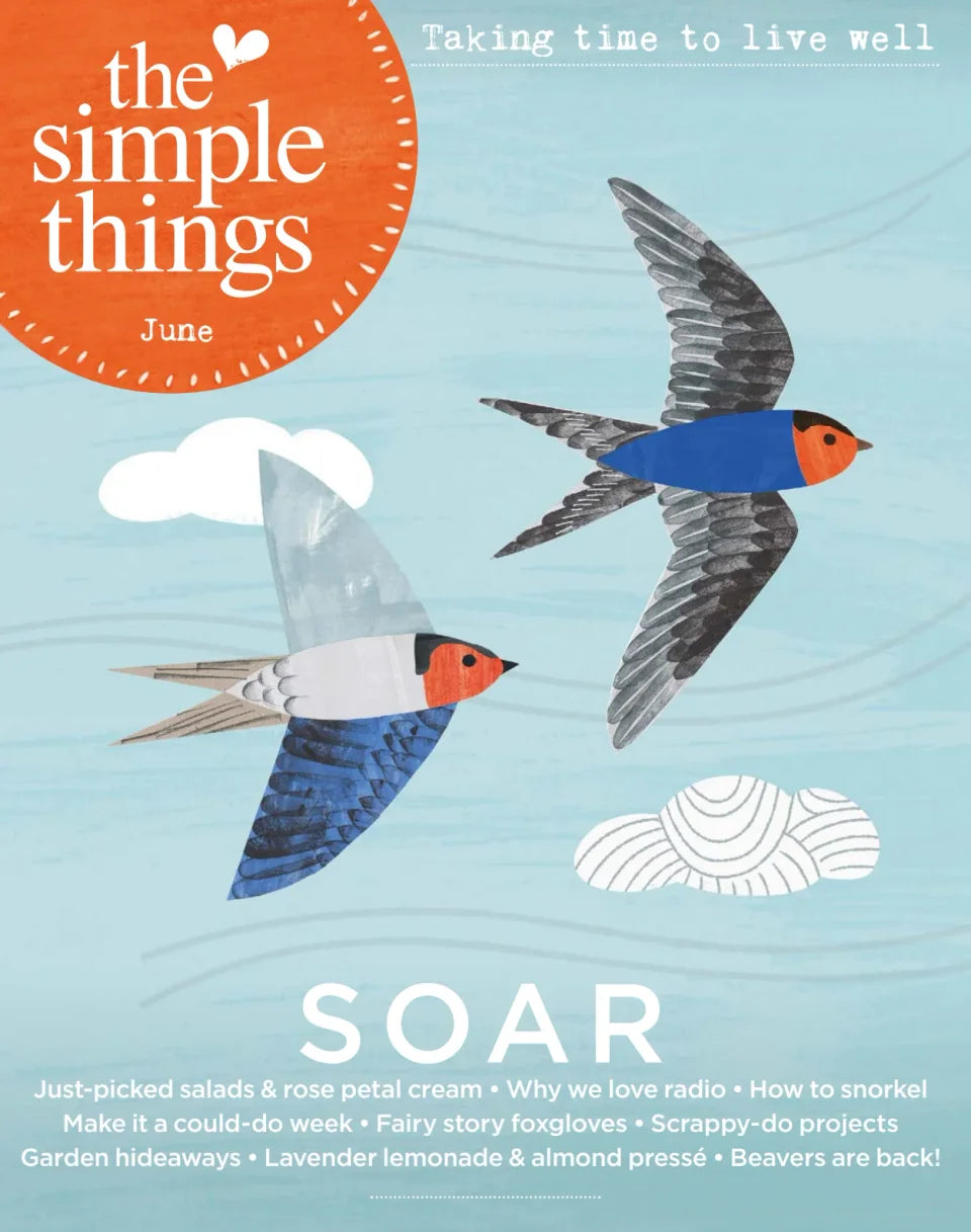 The Simple Things June 2025 Magazine