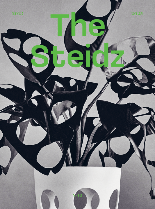 The Steidz Magazine